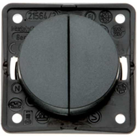 Berker Double Rocker Switch - Anthracite