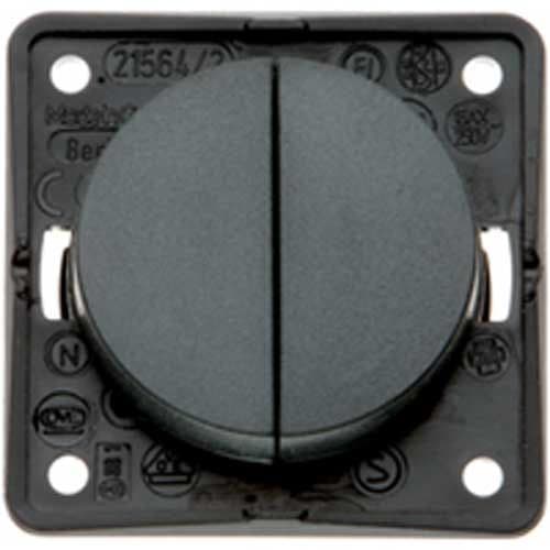 Berker Double Rocker Switch - Anthracite
